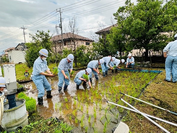 2023年田植え